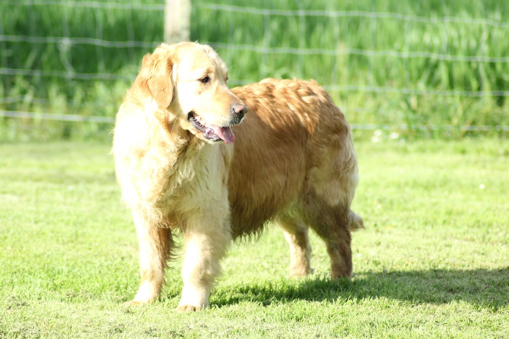 Just'in time du haut de la Girauderie