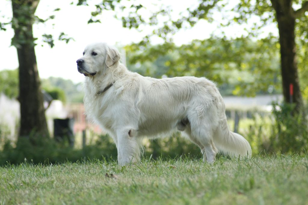 London de la belle lady