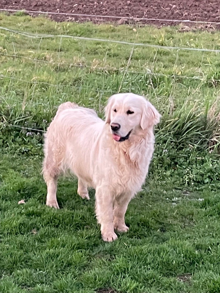 Ray-ban de la belle lady